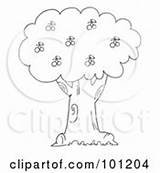 Cherry Tree Coloring Clipart Rf Royalty Outline Picker Template sketch template