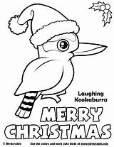 Christmas Coloring Pages Kookaburra Australian Aussie Merry Sheets Svg Birdorable Birds Kids Easy Laughing Cute Visit sketch template