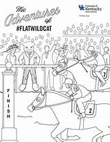 Wildcat sketch template