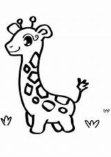 Coloring Giraffe Baby Pages Color Printable Easy Kids Draw Cute Cartoon Animals Animal Print Drawings Legs Disimpan Dari sketch template