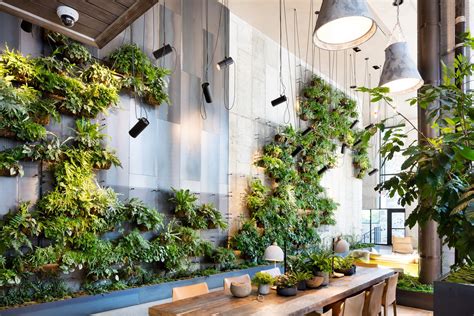 living green walls   benefits   theyre  dwell
