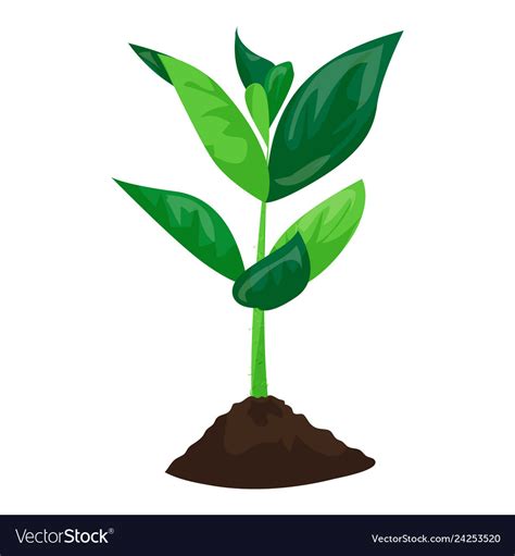 soybean plant  ground icon cartoon style vector image