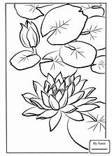 Water Lily Coloring Pages Drawing Kawarazaki Shodo Printable Getdrawings Flowers Kids sketch template