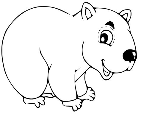wombat smiling coloring page  printable coloring pages  kids