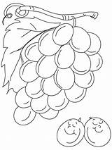 Grapes Weintrauben Colorir Grape Ausmalbilder Cricut Uvas Berries Uva Sour Frutas Malvorlagen sketch template