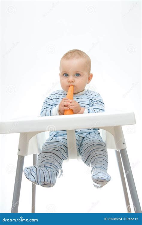 eating carrots stock photo image  carrots eating blue