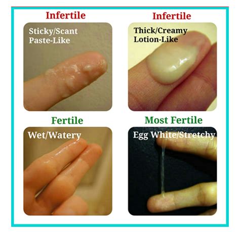 white discharge during sex conceive success