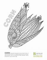 Coloring Vegetables Ecoliteracy sketch template