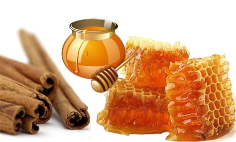 Health Benefits Of Cinnamon And Honey Bluebutterfliesandme