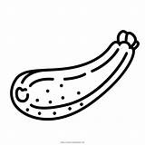 Zucchine Stampare sketch template