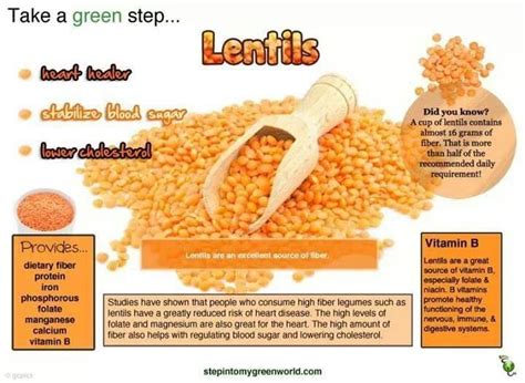 The Benefits Of Lentils Lentils Lentils Benefits Watermelon