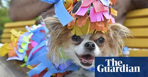 the fourth annual running of the chihuahuas parade in