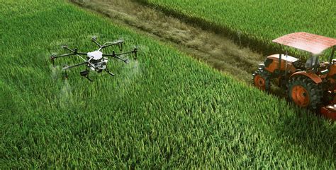 role  artificial intelligence  agriculture
