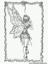Fabelwesen Mcfaddell Phee Malvorlagen Drachen Fairies Fairyland Erwachsene 8x11 Malbuch Coloriages sketch template