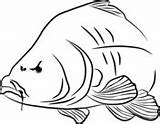 Carp Coloring Pages Fish sketch template