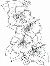 Coloring Hawaiian Pages Flower Flowers Color Printable Drawing Getcolorings sketch template