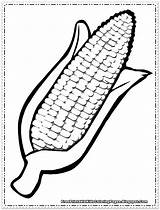 Corn Coloring Pages Printable Cob Cartoon Kids Color Clipart Thanksgiving Cliparts Print Vegetable Drawing Preschool Fall Pre Printables Fruit Choose sketch template