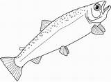 Salmon Coloring Fish Drawing Pages Drawings Getdrawings Template 540px 97kb sketch template