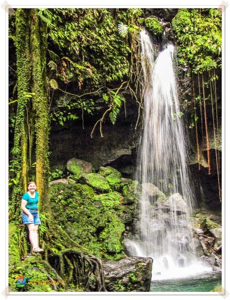 6 best things to do in roseau dominica beautiful waterfalls