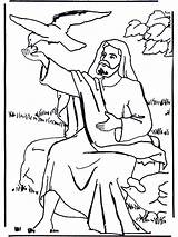 Elias Elijah Elia Cuervo Rabe Prophet Raaf Malvorlagen Ausmalbilder Bijbel Testamento Testament Bibel Disegni sketch template