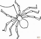Ragno Spiders Oito Spinne Pata Aranha Spinnen Stampare Coloringbay Disegnare Kategorien sketch template