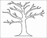 Tree Coloring Leaves Pages Drawing Printable Palm Trunk Branch Stump Trees Template Oak Without Leaf Color Kids Outline Getdrawings Getcolorings sketch template