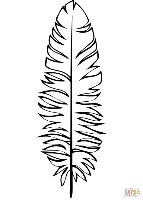 semiplume feather coloring page  printable coloring pages