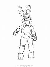 Fnaf Coloring Nights Freddy Freddys Coloringpages101 sketch template