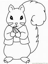 Coloring Pages Squirrels Squirrel Gif Popular sketch template