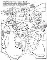 Coloring Prairie Discovery Storytime Built Nature Daily Footed Ferret Puppet sketch template