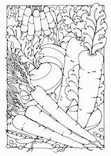 Coloring Vegetables Pages Printable Sheets Mandala Adults Edupics Adult Para Groenten Kleurplaat Colorir Food Colorear Book Legumes Visit Large sketch template