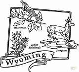 Coloring Wyoming Map Pages Arkansas State Printable Usa Color Tree Drawing Getcolorings Supercoloring States Dot sketch template