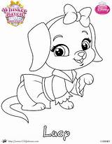 Coloring Palace Princess Pets Pages Haven Whisker Lucy Printables Disney Tales Skgaleana Printable Coloing Dog Pet Colouring Color Little 읽기 sketch template