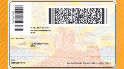 arizona   drivers license  newscom
