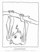 Bat Fruit Coloring Drawing Bats Clipart Pages Bing Colouring Drawings Printable Hanging Getdrawings Library sketch template