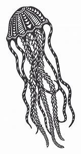 Jellyfish Tahitian sketch template