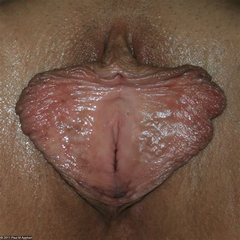 large pussy lips lusciouslabia luscious labia