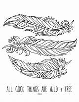 Coloring Feather Designlooter Lostbumblebee Donate Grown Mdbn Colouring Sheets sketch template