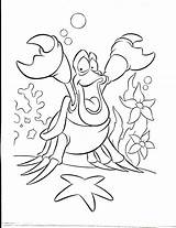 Sebastian Ariel Arielle Crab Sirenita Krebs Zeichnungen Krabbe Sereia Meerjungfrau Sirena Malvorlagen Malen Oceano Nachzeichnen Fisch Colorier Páginas Colo Skizzen sketch template