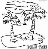 Coloring Trees Palm Pages Tree Adults Sheets Kids Printable sketch template