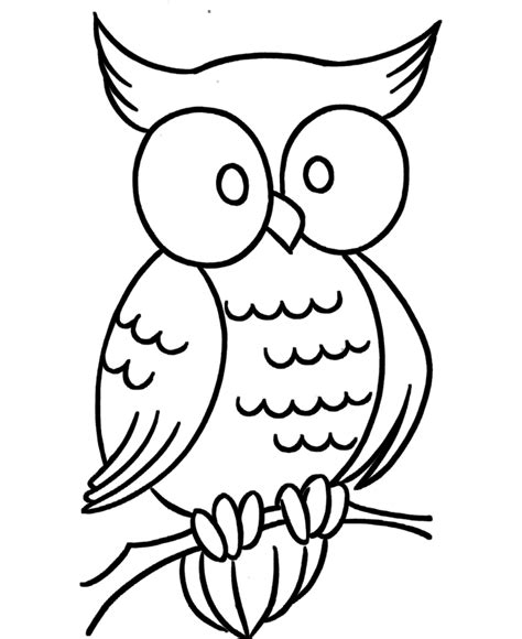 owl coloring pages printable  coloring pages