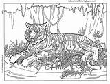 Coloring Pages Mandala Tiger Getdrawings Animal Cool sketch template
