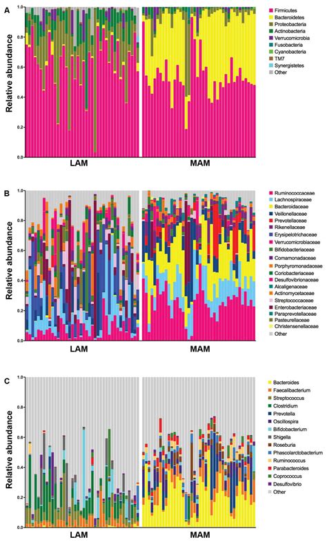 Frontiers Body Mass Index And Sex Affect Diverse Microbial Niches