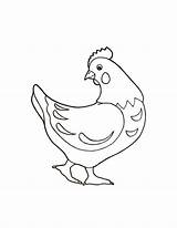 Coloring Pages Hens Hen Kids Trending Days Last sketch template