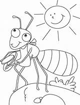 Fourmi Coloriage Ameisen Bug Sheets Bestcoloringpages Coloriages Ameise Ants Wesley Insect Daycare sketch template