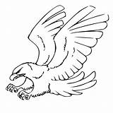 Eagle Clipart Drawing Clip Hawk Simple Desert Outline Cliparts Library Transparent Collection Clipground Svg Getdrawings Webstockreview sketch template