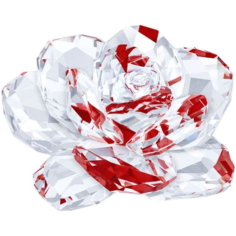 swarovski crystal rose gifts  dipples uk