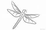 Dragonfly Coloring Pages Clipart Printable Kids Color Print Bettercoloring sketch template