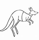 Kangaroo Jumping Coloring Clothes Around Netart sketch template