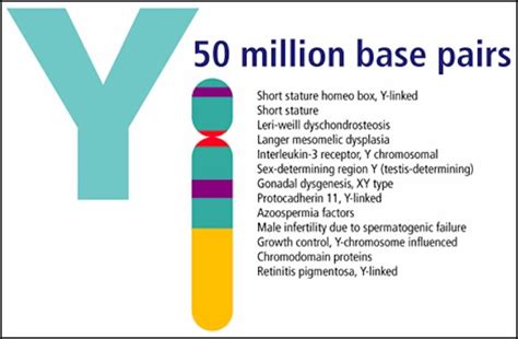 chromosome y causes symptoms treatment chromosome y
